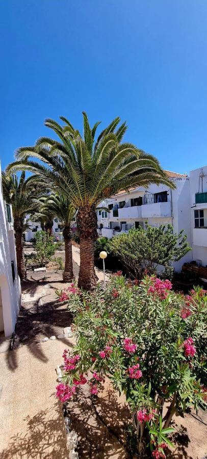 Casa Lucy Apartment Costa De Antigua Ngoại thất bức ảnh